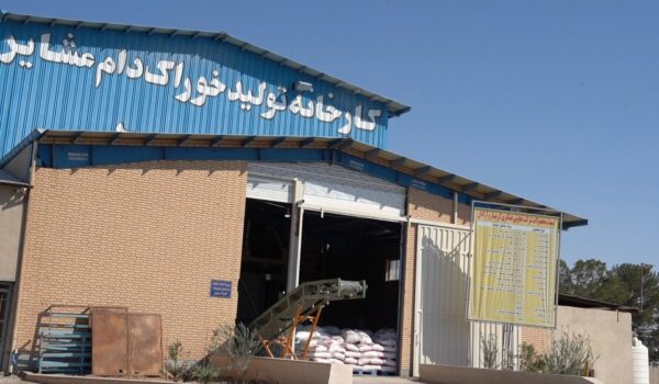دام کارت