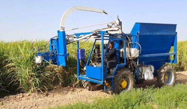 ماشین برداشت نیشکر